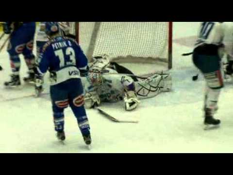 Rekord-Fenster VSV : Sapa Fehervar AV19 (26.12.2010) - 2:3