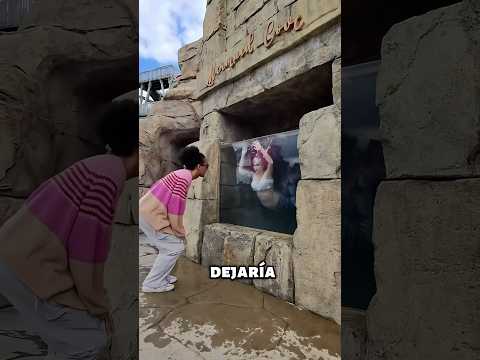 El Turista que Cambió su Destino sin Saberlo 😲