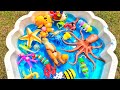 Learn Animal Names For Babies Toddlers Preschoolers Kids