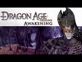 Прохождение Dragon Age Origins Awakening Серия 2 