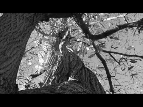 JE VEUX ETRE UN HOMME HEUREUX ...