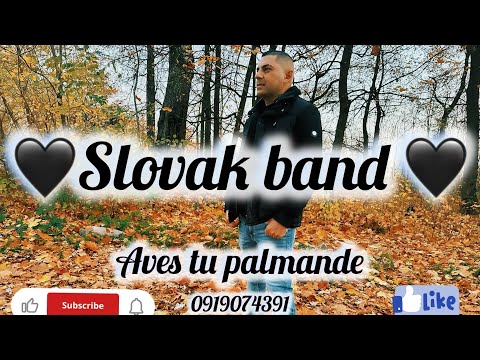 🎬❤️ Slovak Band | Aves tu palmande (OFFICIAL VIDEO) ❤️🎬