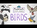 MinuteEarth Explains Birds