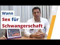 Kinderwunsch Wann Ist Der Beste Zeitpunkt Für Sex