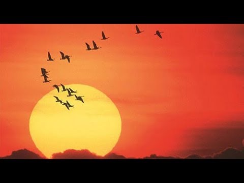 GnowbeLearn™ | Leading Others By Awaken Group