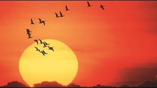 GnowbeLearn™ | Leading Others By Awaken Group