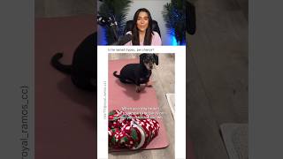 Her Dog Fakes Being Paralyzed 😭