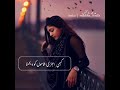 Meri Zaat Zra E Benishan Whatsapp Status