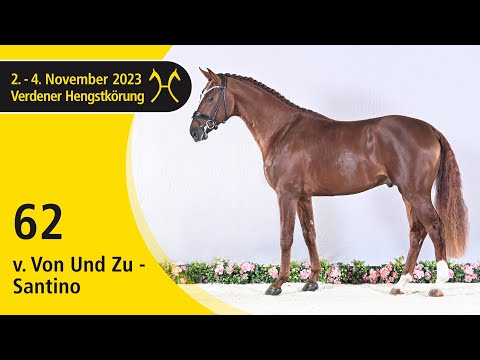 Verden Stallion Licensing 2023 - Dressage - Nov. 2-4 - No. 62 Stallion by Von Und Zu - Santino