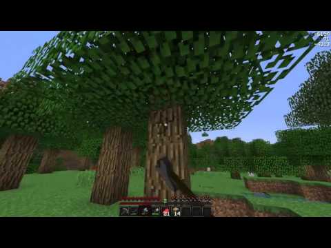 Aureus Pupillam: S10E01 - Reunion