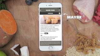 Doglicious - Can my dog eat that?