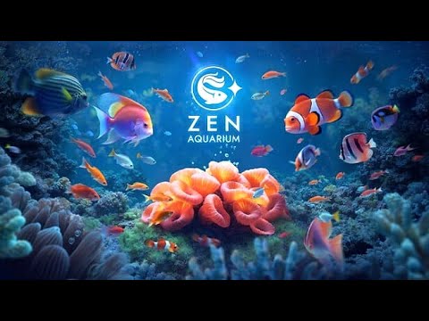 Просмотреть видео