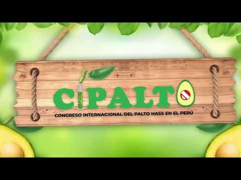  Testimonios y Experiencias: Asistentes al Congreso CIPALTO 2025