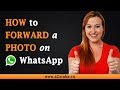 How to Forward a Photo on Whatsapp on an Android Device