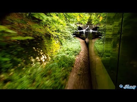 Window View - Desiro DMU Through Apuseni Mountains [Autumn Edition]