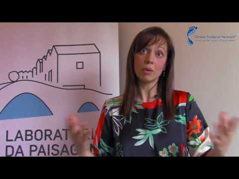 Portuguese Cities Footprinting Project: Sara Moreno Pires, University of Aveiro