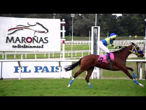 210828 c07 IRSIS PIUS (BRZ)