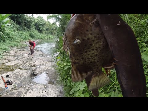 SE03EP081 - KITANG sa TABANG at ang ISDANG PALO ( Catch & Cook ) Province of Quezon