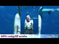 New Whatsapp Status Video Sinhala Sex Romantic Joks Supper Fun Sinhala Thamil