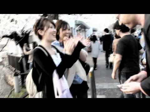 Polyester (DVD W/Gimmicks) By Zivi Kivi