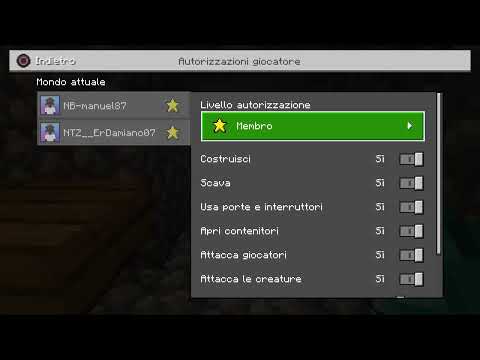 Ho trovato la Netherite