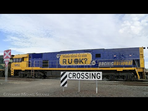 5MP2 Pacific National Steel Train Crosses SCT's 7922V At Gheringhap (15/8/2024) - PoathTV Railways