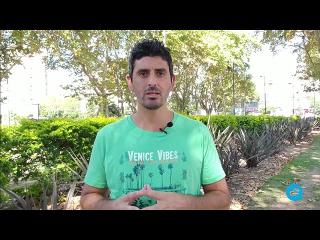 youtube video id=Nsw-14CUe8s