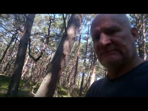 Questions I will never find answers to - Dariusz Kwiecień - 09 - 2023