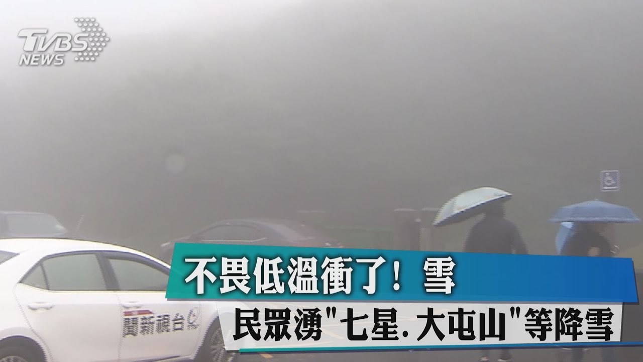 不畏低溫衝了! 民眾湧「七星、大屯山」等降雪