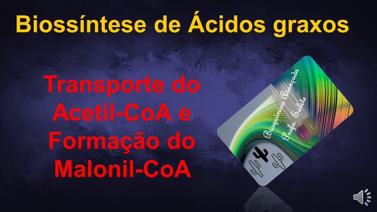 1- Síntese de ácidos graxos  transporte do acetil-CoA e formação do malonil-CoA