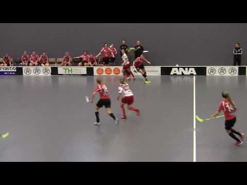 Div 1 Dam IBK Elfhög vs Skövde IBF period 2