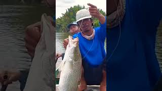 Download lagu This is how to set up your fishing rod when targeting barramundi. mp3