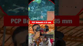 Regular Pcp pra 50 metros!