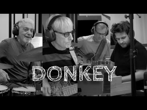 Simon Oslender, Steve Gadd, Will Lee, Bruno Müller - Donkey