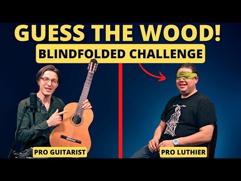 Guess The Wood! Blindfolded GUITAR Challenge