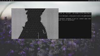 Cover art for bad apple on terminal