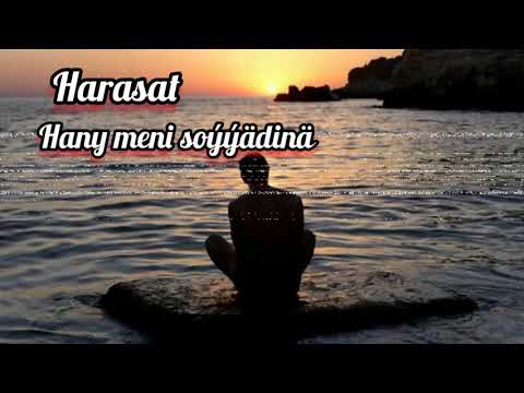 Harasat - Hany Meni Soyyadina