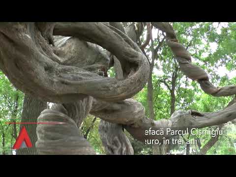 Stiri Mediafax 30 Iulie -Dincă a retras contestaţia la măsura arestării preventive