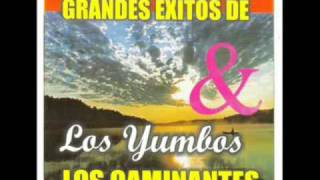 Los caminantes - porque no te vas