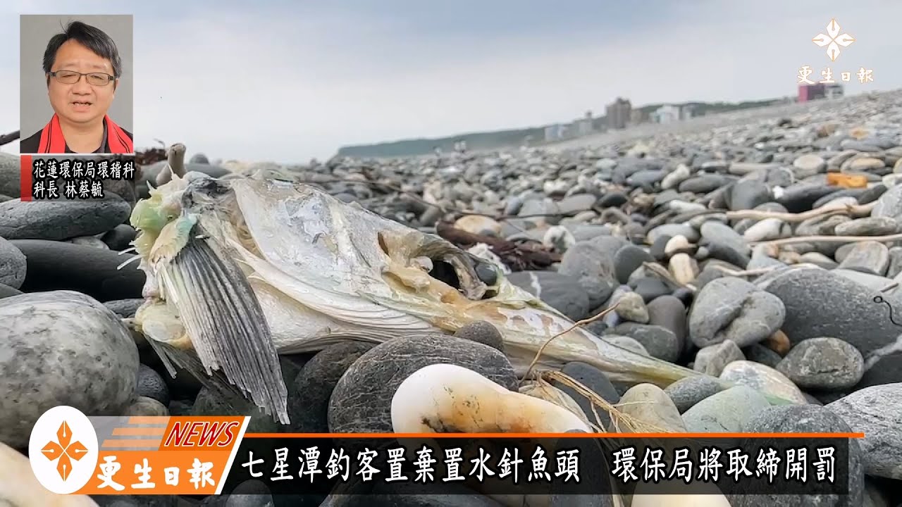 七星潭釣客置棄置水針魚頭  環保局將取締開罰