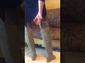 J Adams Avalon Over The Knee Sexy Boots And Comfortable Too