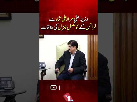 وزیر اعلیٰ مراد علی شاہ کی فرانسیسی قونصل جنرل سے ملاقات