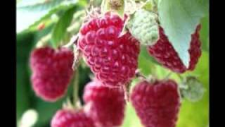 Broken Walls - Song to the Creator