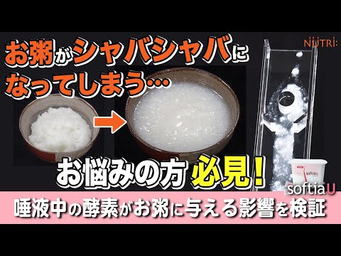 栄養学科 飲み込みにやさしい介護食／ゲル化剤の使い方　お粥がシャバシャバになってしまう…でお悩みの方必見！唾液中の酵素がお粥に与える影響を検証「ソフティアＵ」