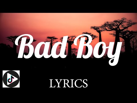 Bad Boy - Yung Bae feat Bbno$, Billy Marchiafava (Lyrics)