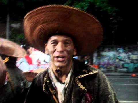 Salgueiro na Sapucaí 2011.MPG