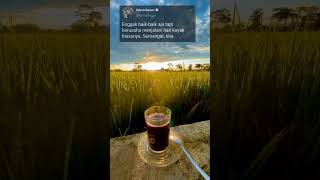 Download lagu status wa #status #storywa #statuswhatsapp #livyrenata #nopeknovian #dennycaknan mp3