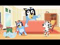 How To Play Octopus Best Bluey Games Bluey