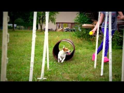 Agility trénink 2 8 2015