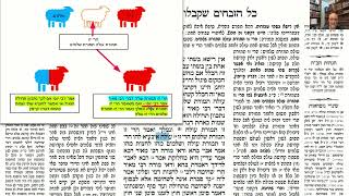 דף יומי מסכת זבחים דף ל Daf yomi Masechet Zevachim page 30  ע"י יוני גוטמן (שיעורי הדף היומי ב-20 דקות – מועבר ע"י ר' יוני גוטמן – לעילוי נשמת אביו ר' אלימלך צבי (צביקה) גוטמן ז"ל) - התמונה מוצגת ישירות מתוך אתר האינטרנט יוטיוב. זכויות היוצרים בתמונה שייכות ליוצרה. קישור קרדיט למקור התוכן נמצא בתוך דף הסרטון